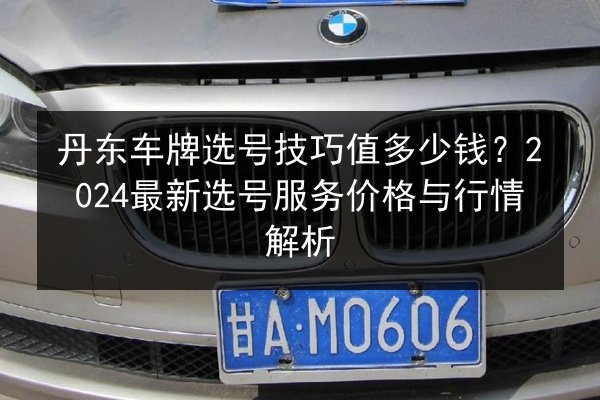 丹东车牌选号技巧值多少钱？2024最新选号服务价格与行情解析