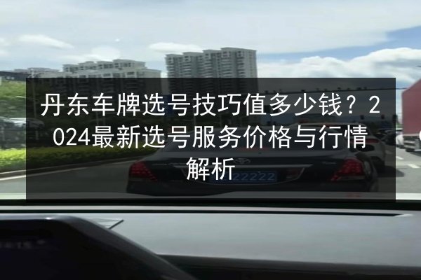 丹东车牌选号技巧值多少钱？2024最新选号服务价格与行情解析 第2张
