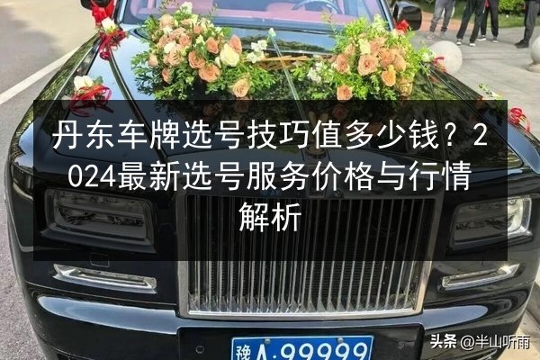 丹东车牌选号技巧值多少钱？2024最新选号服务价格与行情解析 第3张