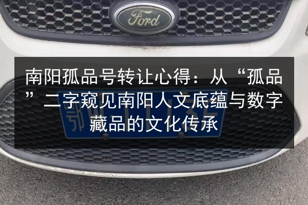 南阳孤品号转让心得：从“孤品”二字窥见南阳人文底蕴与数字藏品的文化传承