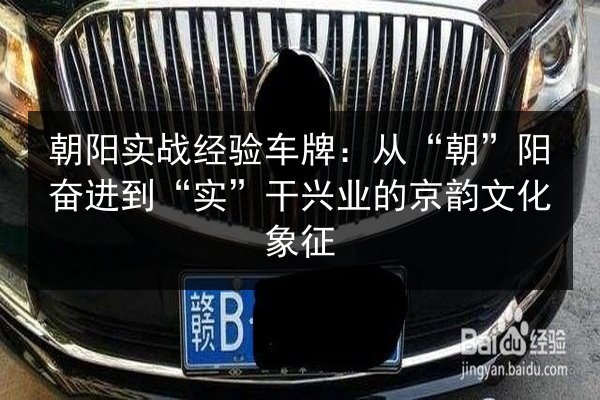 朝阳实战经验车牌：从“朝”阳奋进到“实”干兴业的京韵文化象征