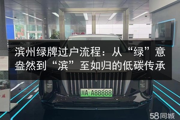 滨州绿牌过户流程：从“绿”意盎然到“滨”至如归的低碳传承 第2张