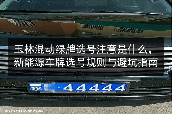 玉林混动绿牌选号注意是什么，新能源车牌选号规则与避坑指南