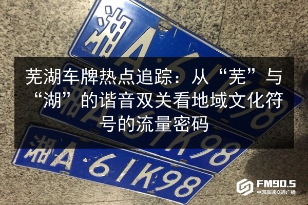 芜湖车牌热点追踪：从“芜”与“湖”的谐音双关看地域文化符号的流量密码