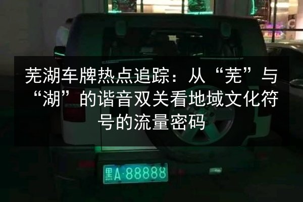 芜湖车牌热点追踪:从“芜”与“湖”的谐音双关看地域文化符号的流量密码 第3张 芜湖车牌热点追踪:从“芜”与“湖”的谐音双关看地域文化符号的流量密码 第3张