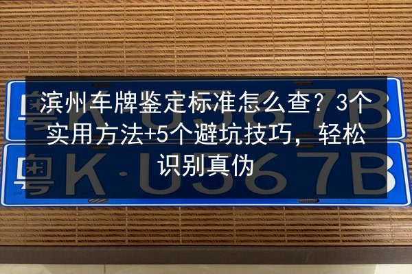 滨州车牌鉴定标准怎么查?3个实用方法+5个避坑技巧,轻松识别真伪 第2张 滨州车牌鉴定标准怎么查?3个实用方法+5个避坑技巧,轻松识别真伪 第2张
