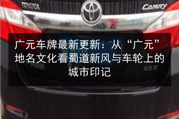 广元车牌最新更新：从“广元”地名文化看蜀道新风与车轮上的城市印记 第2张