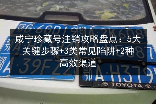 咸宁珍藏号注销攻略盘点：5大关键步骤+3类常见陷阱+2种高效渠道