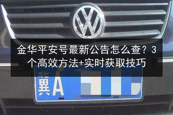 金华平安号最新公告怎么查？3个高效方法+实时获取技巧