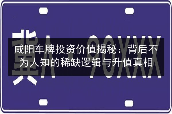 咸阳车牌投资价值揭秘：背后不为人知的稀缺逻辑与升值真相 第1张
