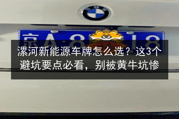 漯河新能源车牌怎么选？这3个避坑要点必看，别被黄牛坑惨