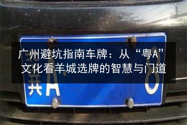 广州避坑指南车牌：从“粤A”文化看羊城选牌的智慧与门道