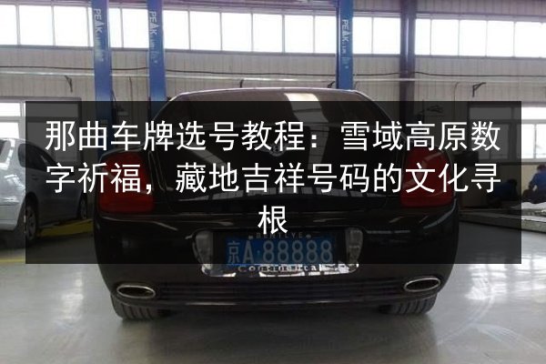 那曲车牌选号教程：雪域高原数字祈福，藏地吉祥号码的文化寻根