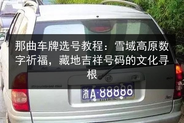 那曲车牌选号教程：雪域高原数字祈福，藏地吉祥号码的文化寻根 第2张