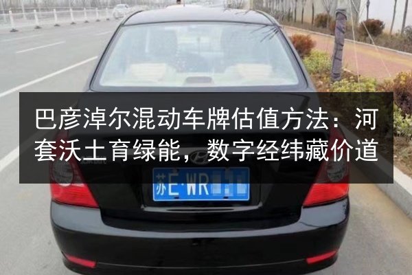 巴彦淖尔混动车牌估值方法：河套沃土育绿能，数字经纬藏价道 第2张