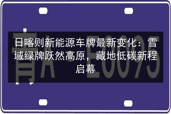 日喀则新能源车牌最新变化：雪域绿牌跃然高原，藏地低碳新程启幕 第2张