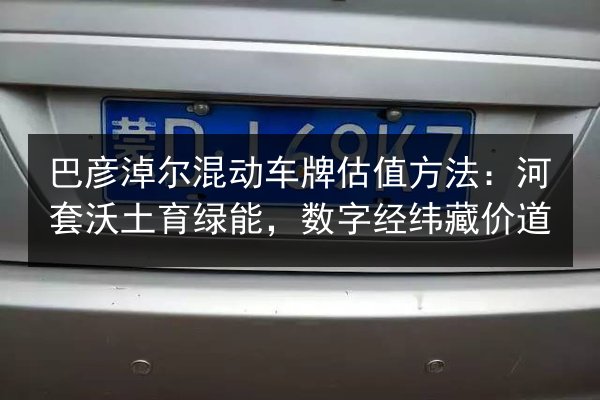 巴彦淖尔混动车牌估值方法：河套沃土育绿能，数字经纬藏价道 第3张