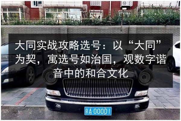 大同实战攻略选号：以“大同”为契，寓选号如治国，观数字谐音中的和合文化 第2张