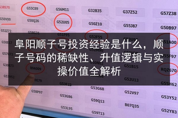 阜阳顺子号投资经验是什么,顺子号码的稀缺性、升值逻辑与实操价值全解析 第2张 阜阳顺子号投资经验是什么,顺子号码的稀缺性、升值逻辑与实操价值全解析 第2张