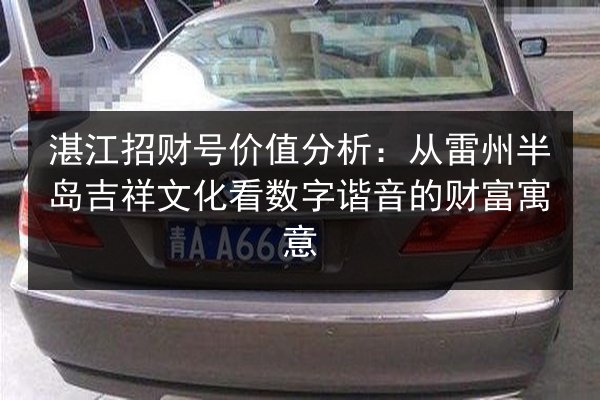 湛江招财号价值分析：从雷州半岛吉祥文化看数字谐音的财富寓意
