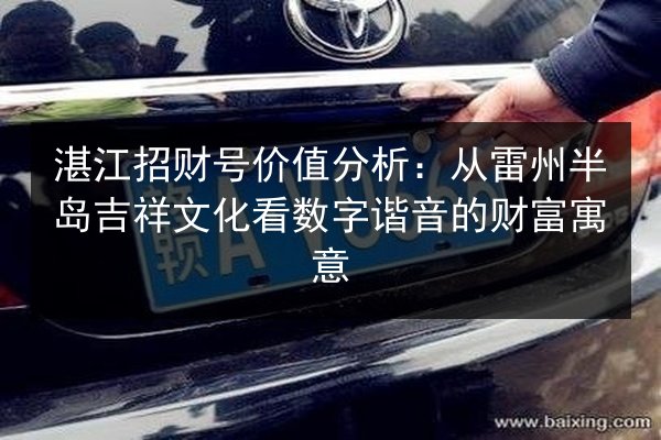 湛江招财号价值分析:从雷州半岛吉祥文化看数字谐音的财富寓意 第3张 湛江招财号价值分析:从雷州半岛吉祥文化看数字谐音的财富寓意 第3张