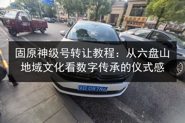 固原神级号转让教程：从六盘山地域文化看数字传承的仪式感 第2张