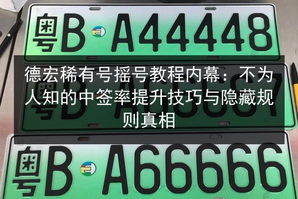 德宏稀有号摇号教程内幕：不为人知的中签率提升技巧与隐藏规则真相