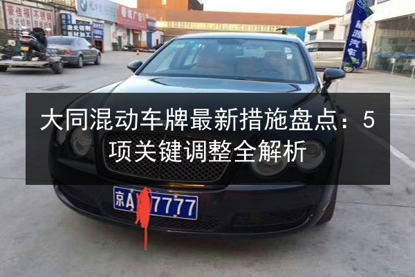 大同混动车牌最新措施盘点：5项关键调整全解析 第3张