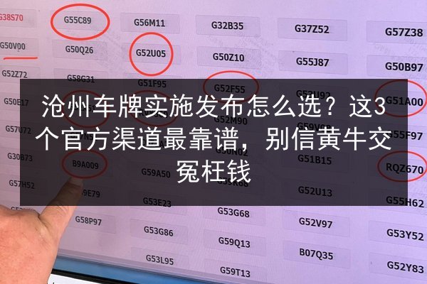 沧州车牌实施发布怎么选？这3个官方渠道最靠谱，别信黄牛交冤枉钱