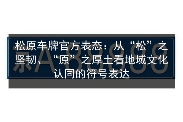 松原车牌官方表态：从“松”之坚韧、“原”之厚土看地域文化认同的符号表达 第2张