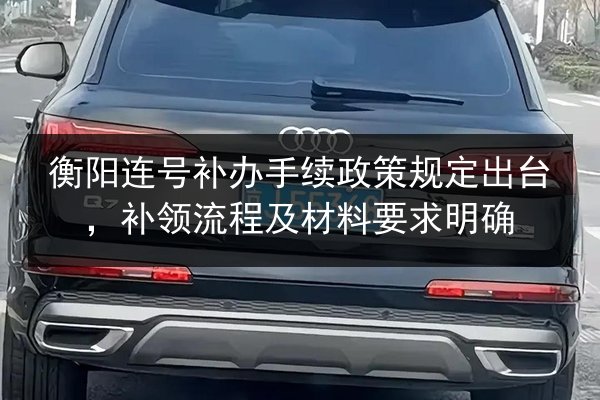衡阳连号补办手续政策规定出台，补领流程及材料要求明确