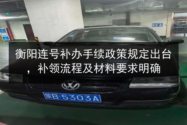 衡阳连号补办手续政策规定出台，补领流程及材料要求明确 第2张