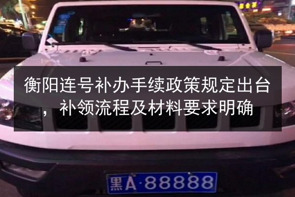 衡阳连号补办手续政策规定出台，补领流程及材料要求明确 第3张