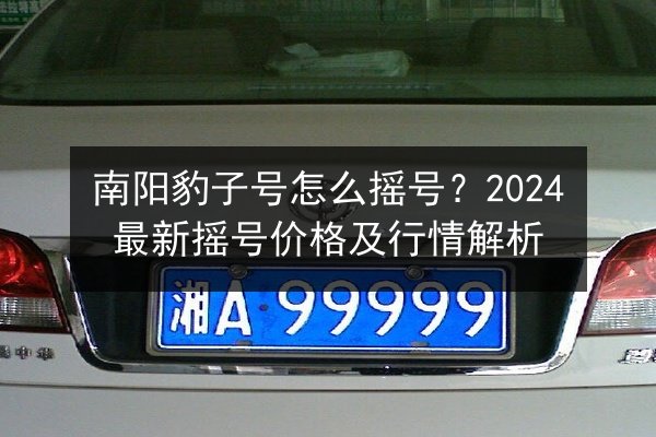 南阳豹子号怎么摇号?2024最新摇号价格及行情解析 第3张 南阳豹子号怎么摇号?2024最新摇号价格及行情解析 第3张