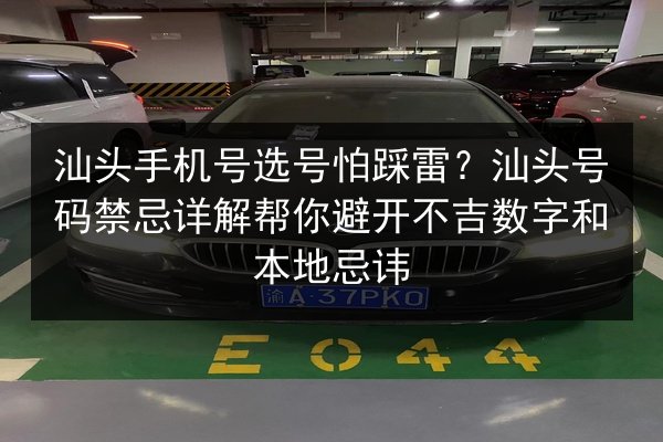 汕头手机号选号怕踩雷?汕头号码禁忌详解帮你避开不吉数字和本地忌讳 第3张 汕头手机号选号怕踩雷?汕头号码禁忌详解帮你避开不吉数字和本地忌讳 第3张
