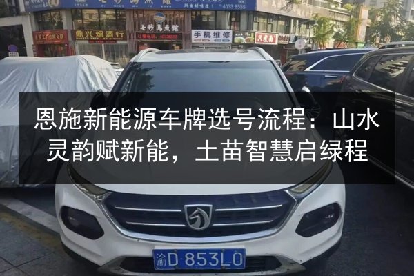 恩施新能源车牌选号流程：山水灵韵赋新能，土苗智慧启绿程 第2张