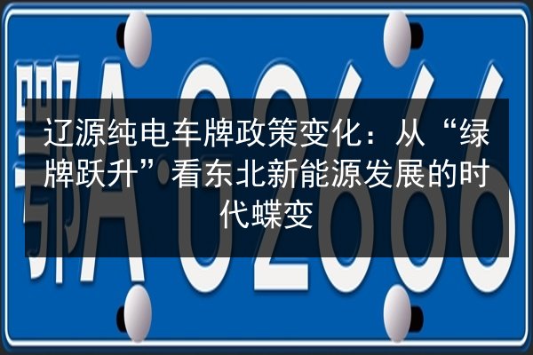 辽源纯电车牌政策变化：从“绿牌跃升”看东北新能源发展的时代蝶变 第2张