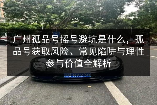 广州孤品号摇号避坑是什么，孤品号获取风险、常见陷阱与理性参与价值全解析 第3张