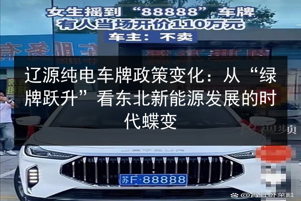 辽源纯电车牌政策变化：从“绿牌跃升”看东北新能源发展的时代蝶变 第3张