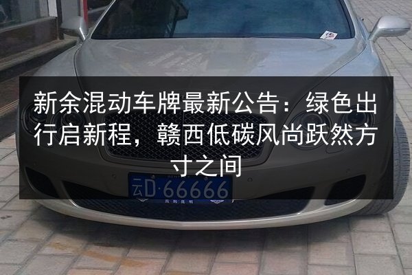 新余混动车牌最新公告:绿色出行启新程,赣西低碳风尚跃然方寸之间 第3张 新余混动车牌最新公告:绿色出行启新程,赣西低碳风尚跃然方寸之间 第3张
