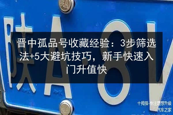晋中孤品号收藏经验：3步筛选法+5大避坑技巧，新手快速入门升值快 第3张