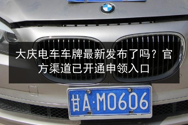 大庆电车车牌最新发布了吗？官方渠道已开通申领入口 第2张