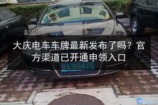 大庆电车车牌最新发布了吗？官方渠道已开通申领入口 第3张
