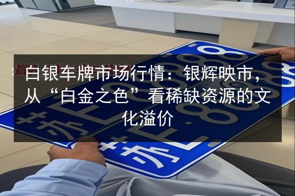 白银车牌市场行情：银辉映市，从“白金之色”看稀缺资源的文化溢价 第3张