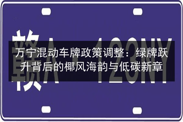 万宁混动车牌政策调整:绿牌跃升背后的椰风海韵与低碳新章 第3张 万宁混动车牌政策调整:绿牌跃升背后的椰风海韵与低碳新章 第3张