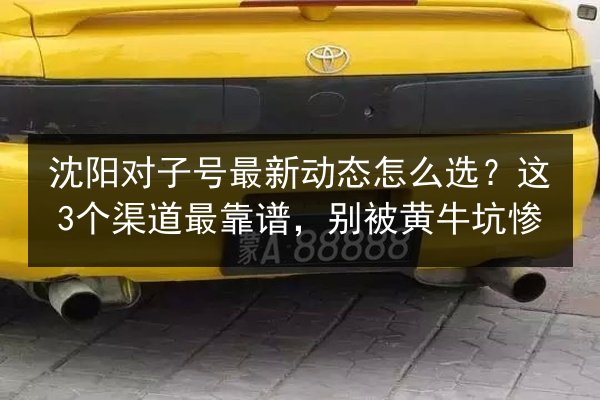 沈阳对子号最新动态怎么选?这3个渠道最靠谱,别被黄牛坑惨 第2张 沈阳对子号最新动态怎么选?这3个渠道最靠谱,别被黄牛坑惨 第2张