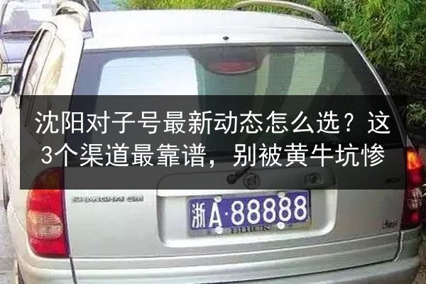 沈阳对子号最新动态怎么选?这3个渠道最靠谱,别被黄牛坑惨 第3张 沈阳对子号最新动态怎么选?这3个渠道最靠谱,别被黄牛坑惨 第3张