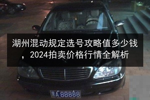 湖州混动规定选号攻略值多少钱，2024拍卖价格行情全解析