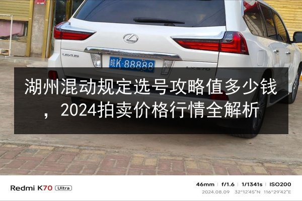 湖州混动规定选号攻略值多少钱，2024拍卖价格行情全解析 第2张