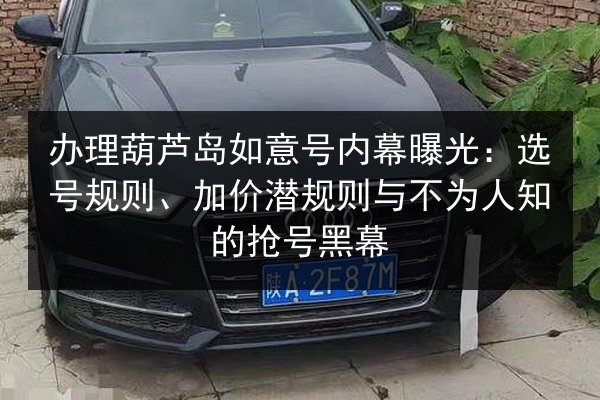 办理葫芦岛如意号内幕曝光：选号规则、加价潜规则与不为人知的抢号黑幕 第3张